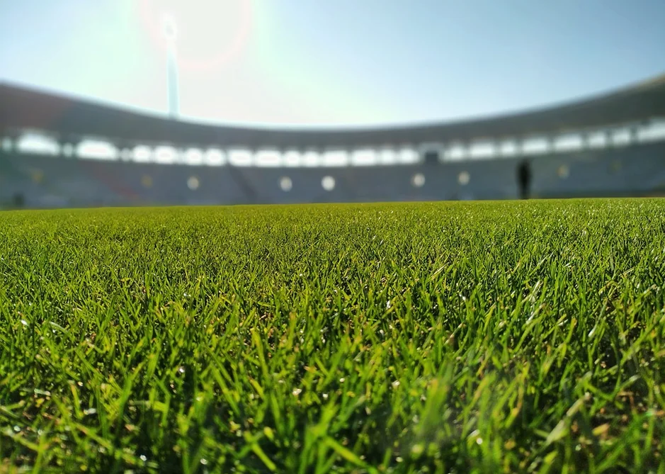 football grass