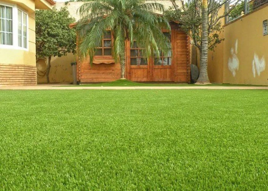 landscaping grass