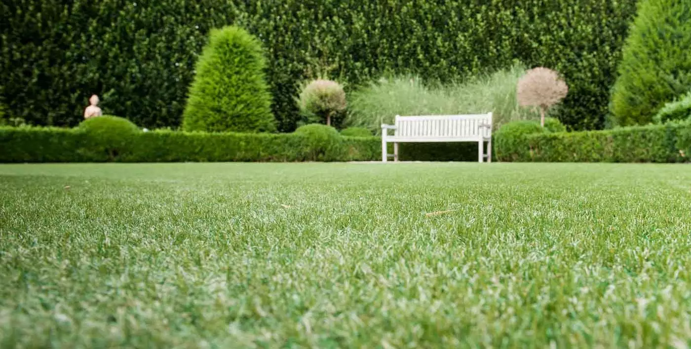 artificial grass